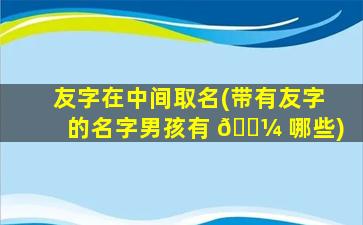 友字在中间取名(带有友字的名字男孩有 🐼 哪些)